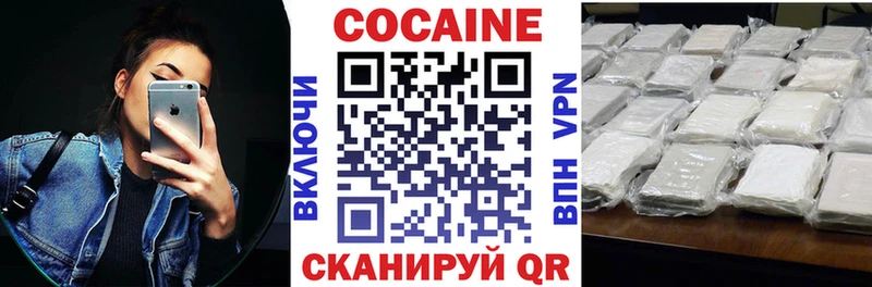 Cocaine FishScale  Купить закладки  Химки 
