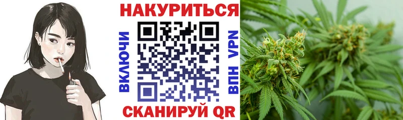 Каннабис сатива  Купить  Химки 